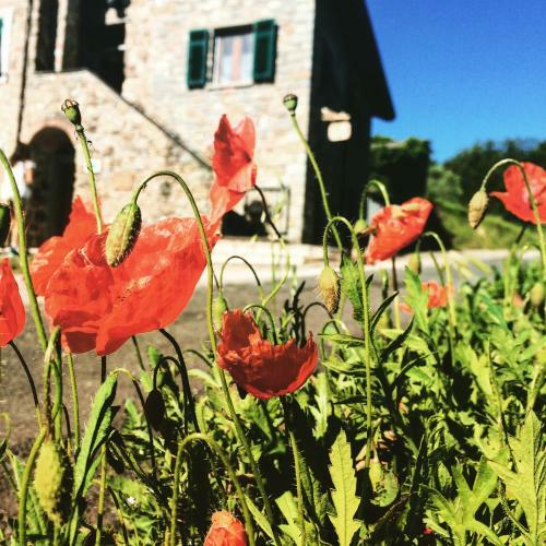 B&B Angi� Nel Cer�