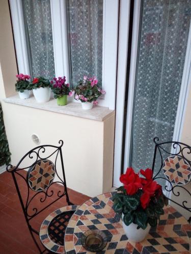 Apartamento Mira