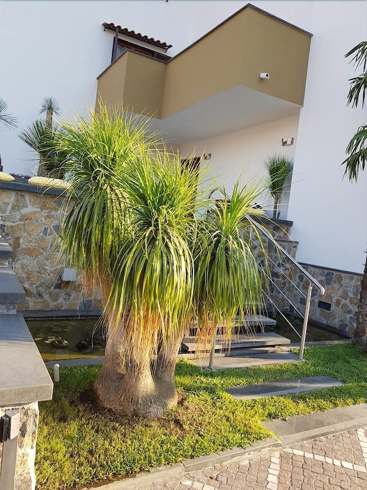 Bed & Breakfast Pompei Suite