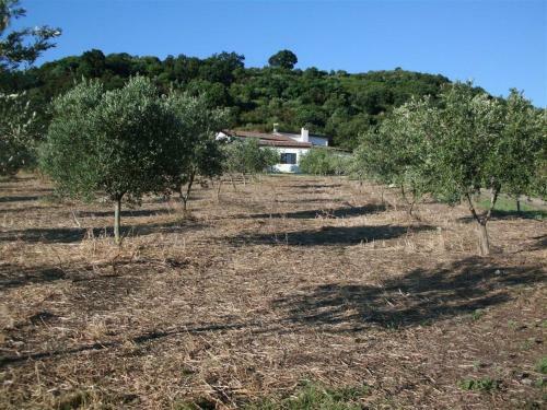 Agroturismo Agriturismo Caforchio