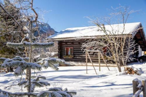 Chalet Carezza