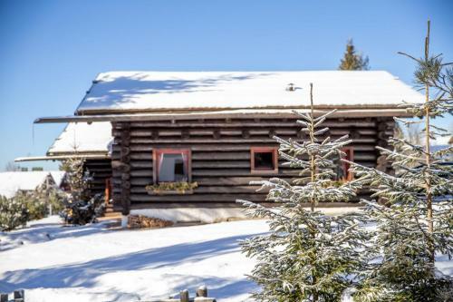 Chalet Carezza