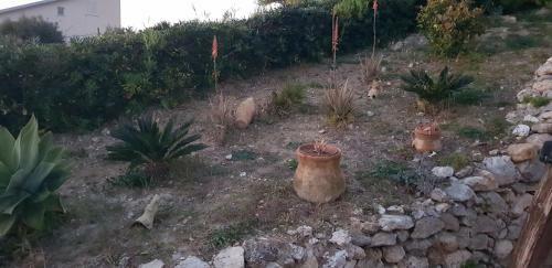 Palma Holiday Home