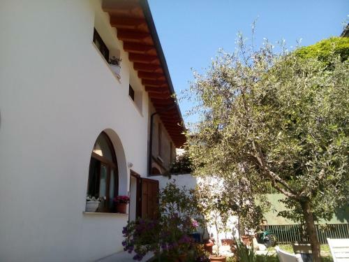 Il Cortile B&B