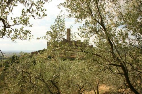 Montecchio Villa Sleeps 6