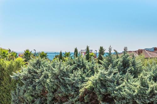 Apartamento Nuova Riva