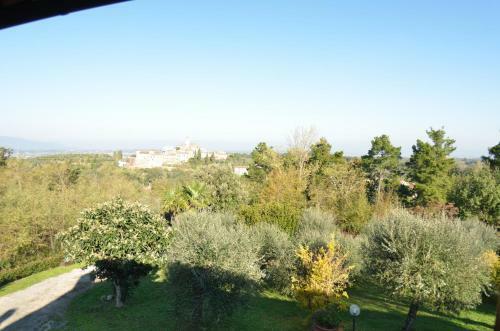 Poggio Colombaie