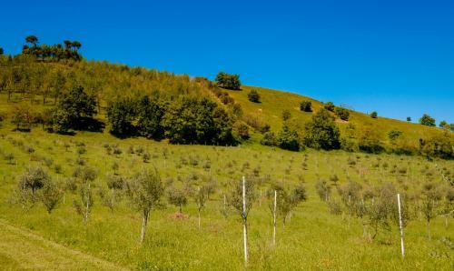 Bed & Breakfast La Quercia