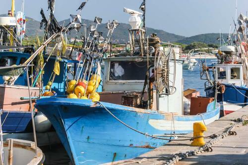 Apartamento Appartamenti La Casetta