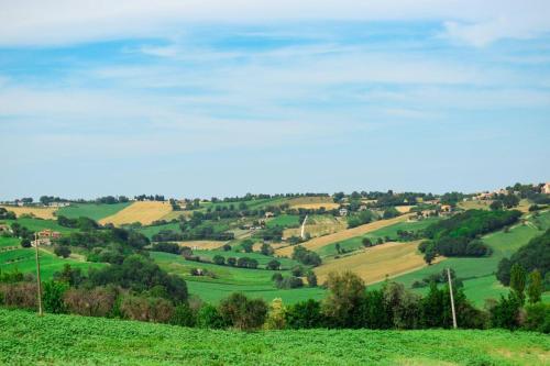 Apartamento Bubo-immerso-tra-gli-alberi