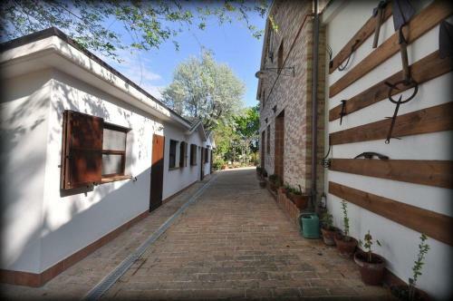 Apartamento Bubo-immerso-tra-gli-alberi
