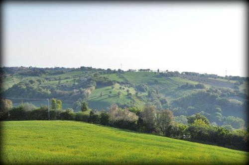 Apartamento Bubo-immerso-tra-gli-alberi