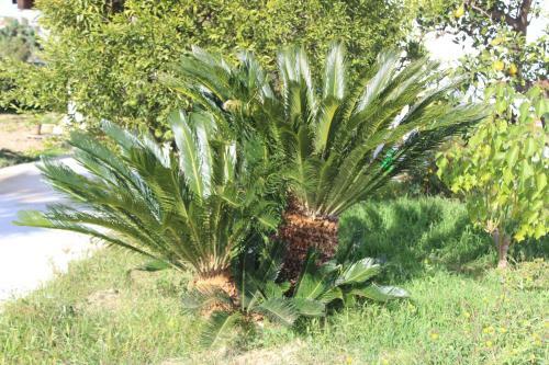 Villetta A Pochi Minuti Da Gallipoli