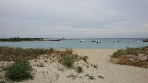 Hostal Salsedine