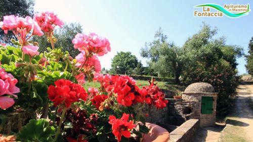 Agroturismo Borgo La Fontaccia
