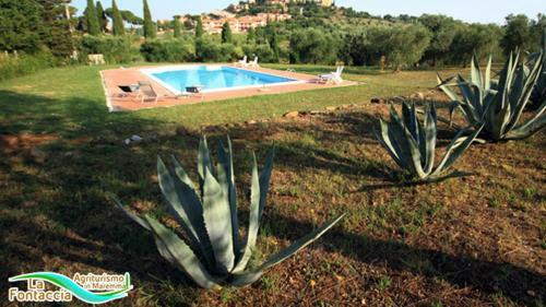 Agroturismo Borgo La Fontaccia