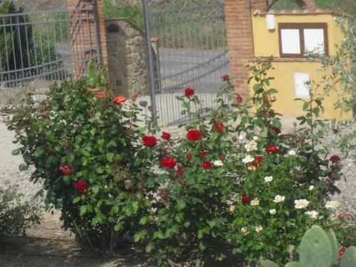 Apartamento Il Girasole