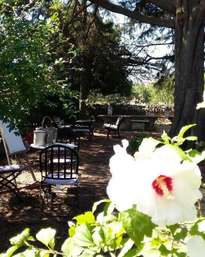 Bed & Breakfast Il Gallo Felice