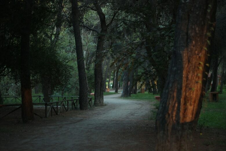 Hotel Club Nature Village
