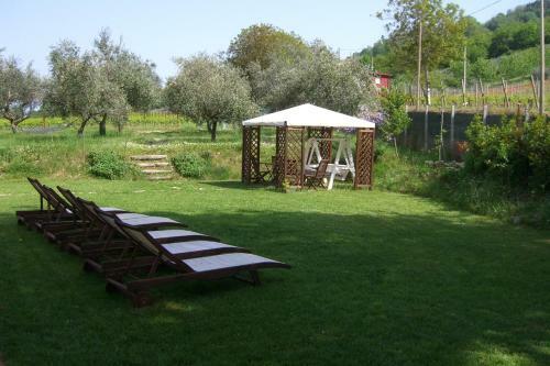 Agroturismo Tenuta Carbognano