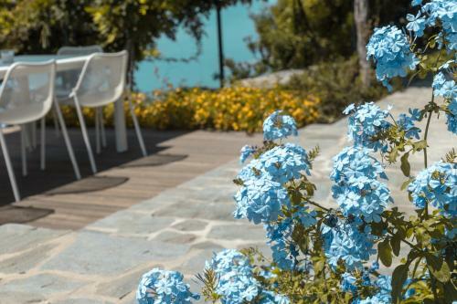 Hotel Villa Riviera