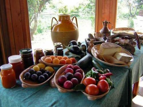 Agroturismo Agriturismo La Collinetta