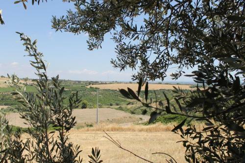 Agroturismo Agriturismo La Collinetta