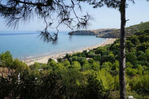 Apartamento Appartamenti Serena