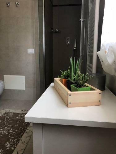 Hostal Abbazia S. Stefano Due Carrare