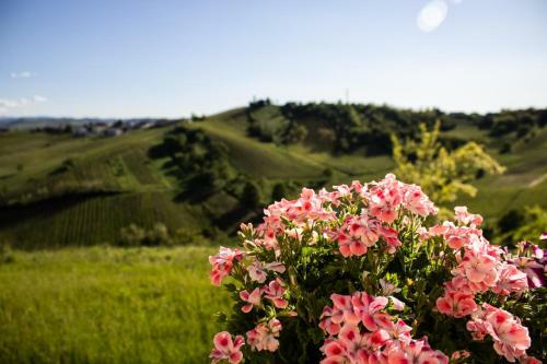 Bed & Breakfast La Genesa