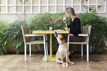Vit�ria Hotel Residence Newport