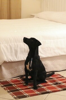 Vit�ria Hotel Residence Newport