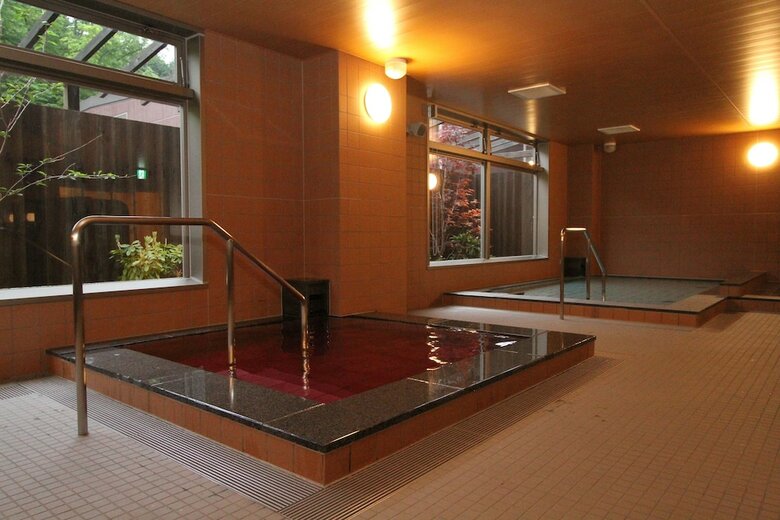 Fuji Zakura Hotel