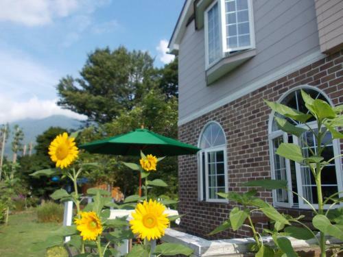Hostal Pension Himawari