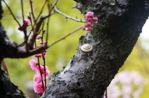 Atelier Bee's Knees Bed & Breakfast