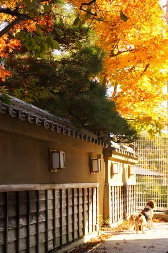 Atelier Bee's Knees Bed & Breakfast