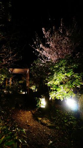 Atelier Bee's Knees Bed & Breakfast