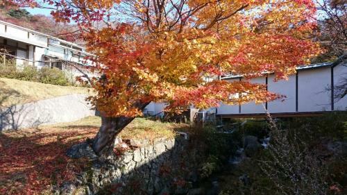 Posada Tamanoyu Rikuzentakata
