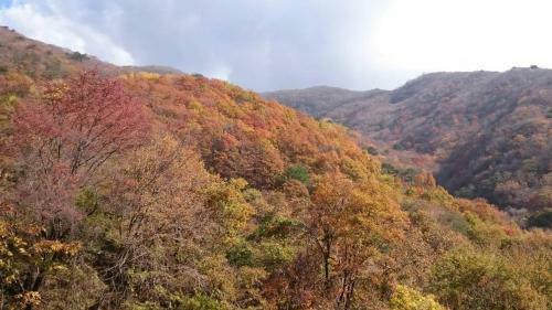 Posada Tamanoyu Rikuzentakata