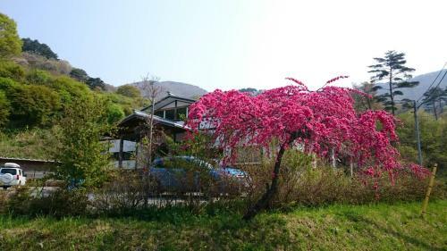 Posada Tamanoyu Rikuzentakata