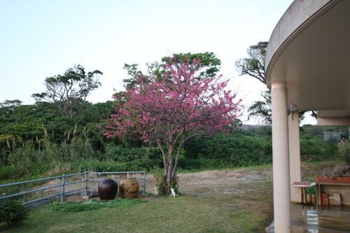 Hostal Minshuku Tantawan