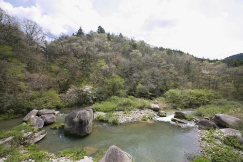 Ryori Ryokan Shikanoyu