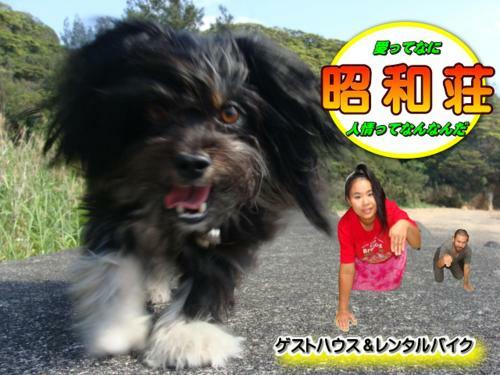 Hostal Amami Guest House Showa-so