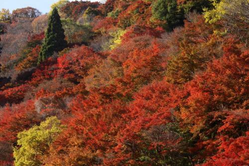 Ryokan Kato