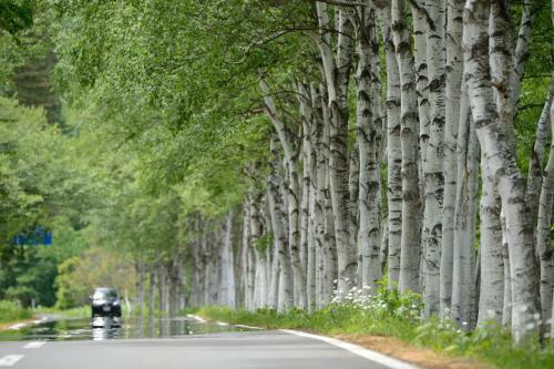 Hotel Active Resorts Iwate Hachimantai