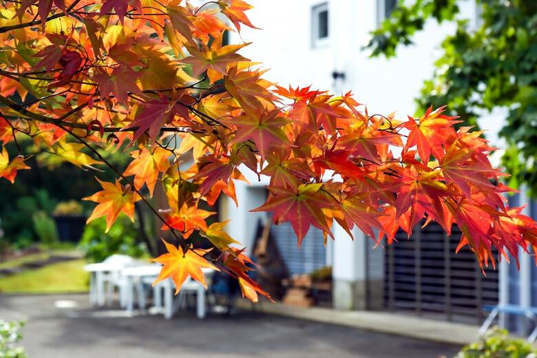Bed & Breakfast Pension Entre - Deux - Mers