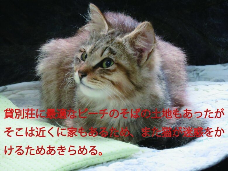 Lodge Okinawa Freedom