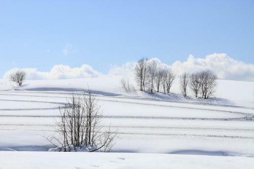 Asahikawa Cozy Big House For Family