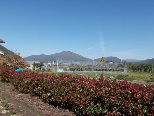 Bed & Breakfast Guest House Honami-kaido