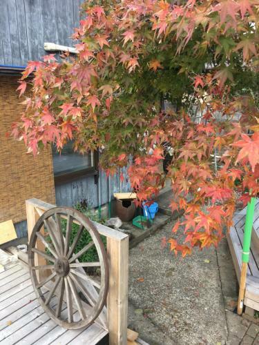 Hostal Nemaru Stay&discovery